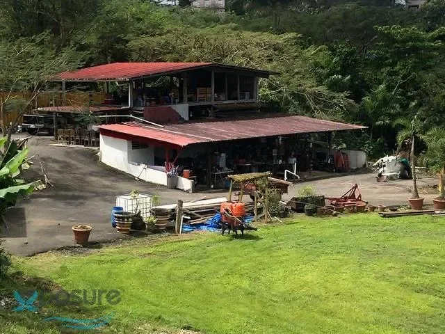 Toa Alta CALLE BROMELIA Parc 29, Mucarabones, Puerto Rico. - Photo 10