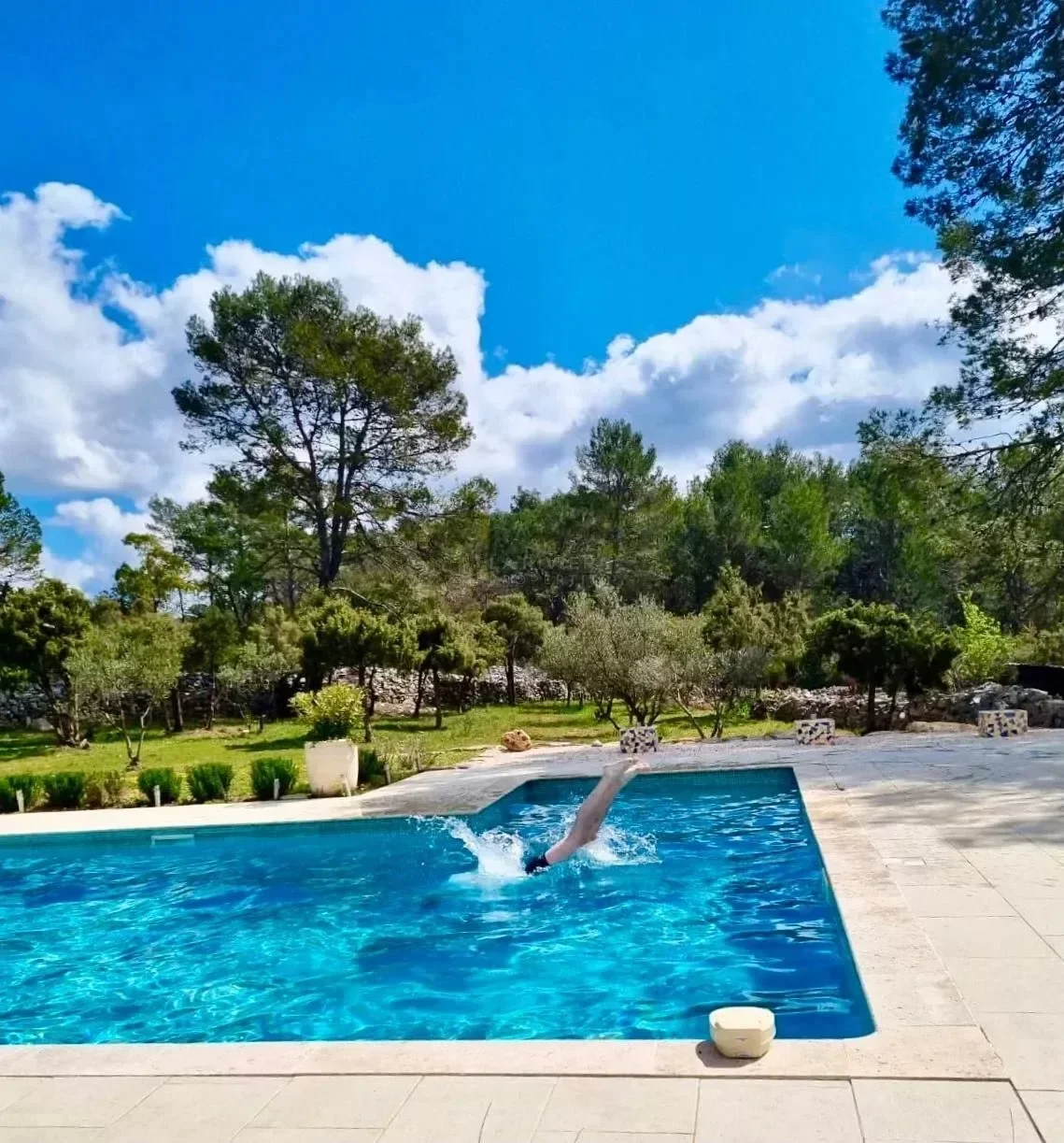 Pignans, Provence-Alpes-Côte d'Azur, France. - Photo 4