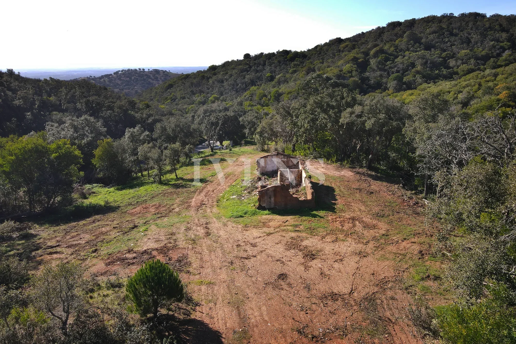 Gallery photo 5