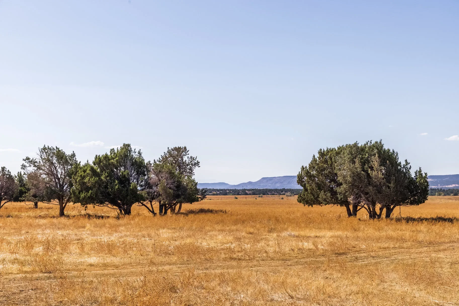 8750 N 6000 W, Neola, UT 84053, Neola, Utah, United States. - Photo 10