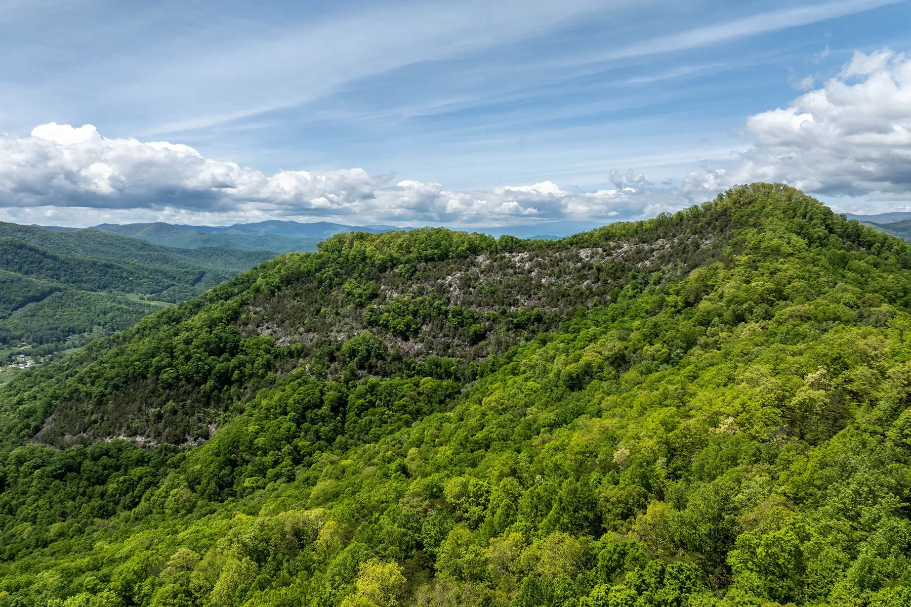 444 Woodring Cemetery Road, Tuckasegee, NC 28783, 28783, North Carolina, United States. - Photo 14