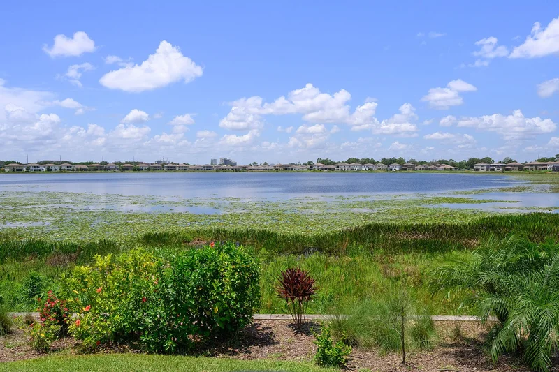 10854 Lemon Lake Blvd, Orlando, FL 32836, Orlando, Florida, United States. - Photo 29