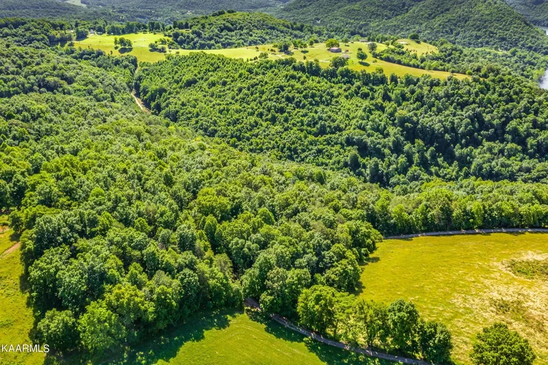 745 Ronald Holt Lane, Tazewell, TN, 37879, USA, Tazewell, Tennessee, United States. - Photo 39