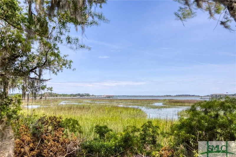 9 Longbridge Road, Savannah, Georgia, United States. - Photo 20