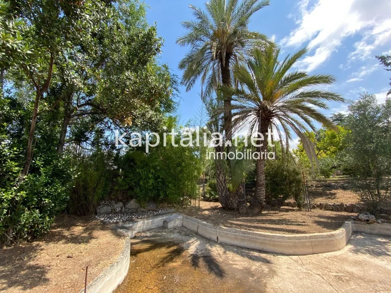 Albaida, Albaida, VALENCIA, Albaida, Albaida, Valencian Community, Spain. - Photo 29