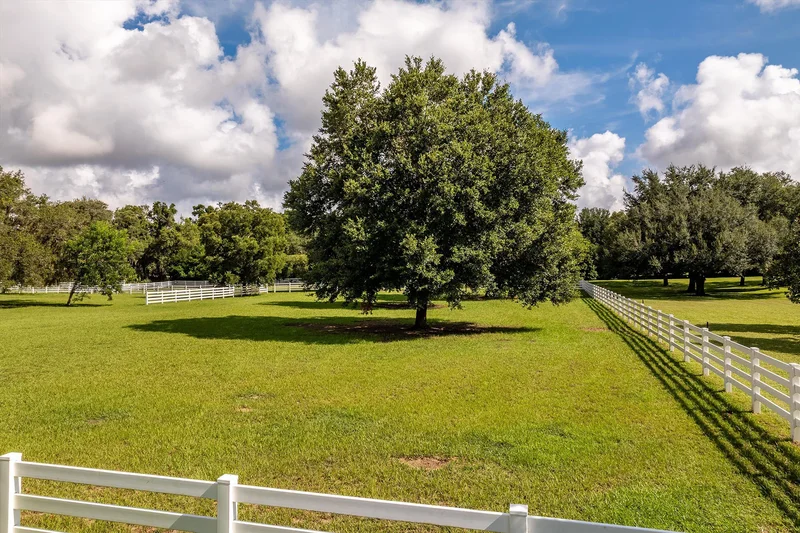 250 Kentucky Blue Circle, Apopka, FL 32712, Apopka, Florida, United States. - Photo 53