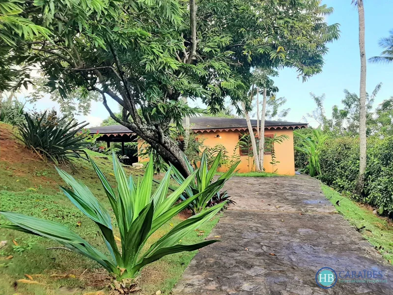 Las Terrenas, Las Terrenas, Las Terrenas, Samaná Province, Dominican Republic. - Photo 13