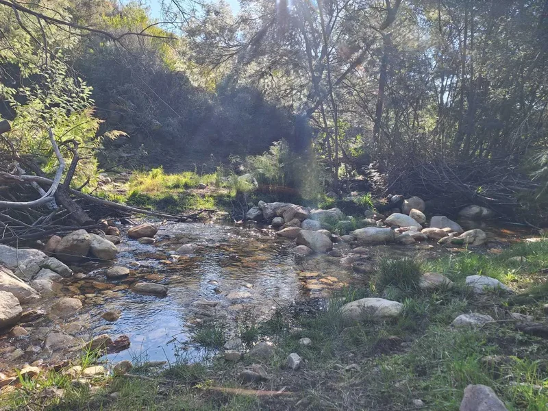 Water - Water - Water