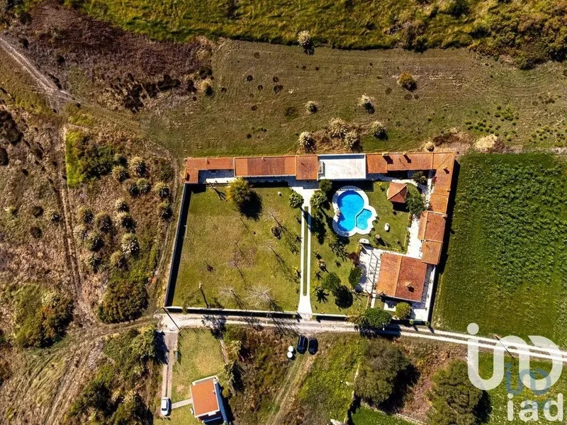 Ovar, S.João, Arada e S.Vicente de Pereira Jusã, Ovar, Aveiro, Ovar, Ovar, Sao Joao, Arada e Sao Vicente de Pereira Jusa, Aveiro District, Portugal. - Photo 27