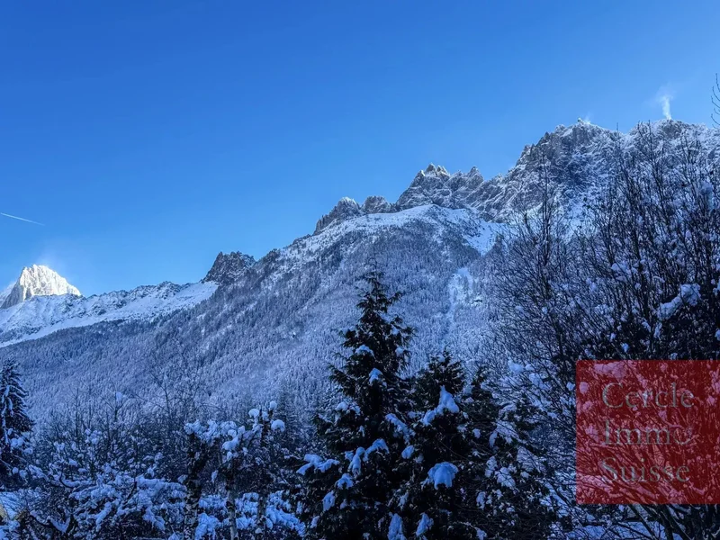 Chamonix, Auvergne-Rhône-Alpes, France. - Photo 23