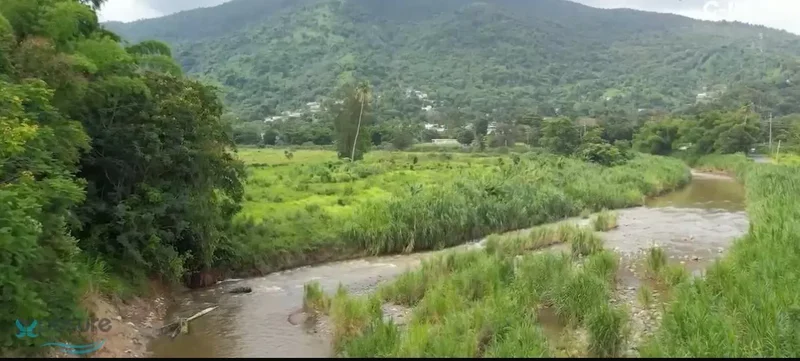 Naguabo RIO BLANCO, PR 191, NAGUABO PR 191, Hato Candal, Río Grande, Puerto Rico. - Photo 11