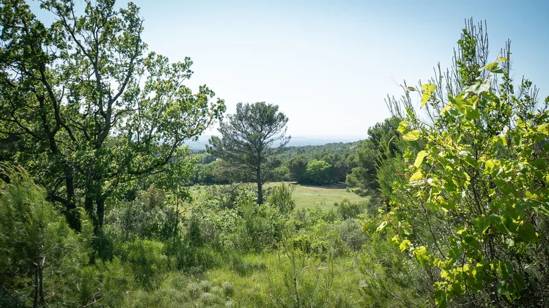0, L'Isle-sur-la-Sorgue, Provence-Alpes-Côte d'Azur, France. - Photo 10