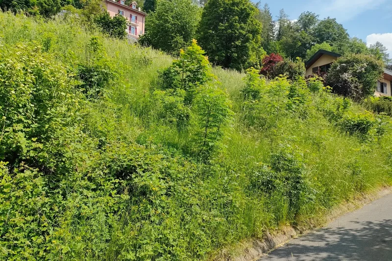 Glion, VD 1823, Montreux, Vaud, Switzerland. - Photo 7