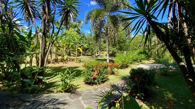 FXMJ+P7W, El Espino, Panama, San Carlos District, Panama, Panama. - Photo 12