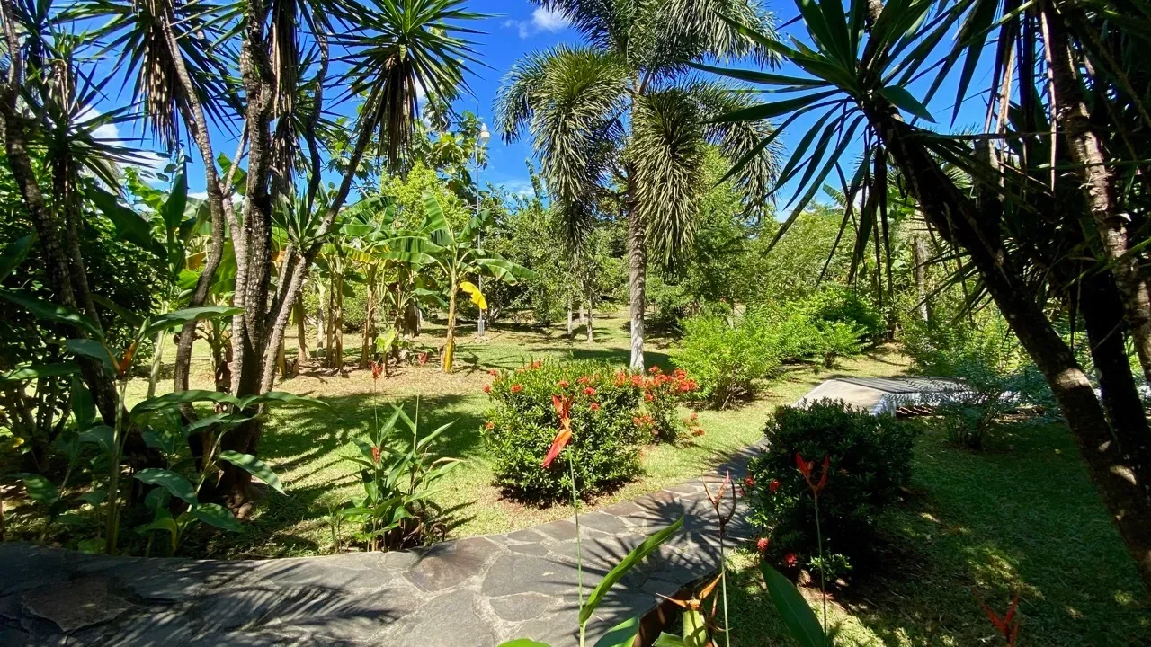 Gallery photo 12