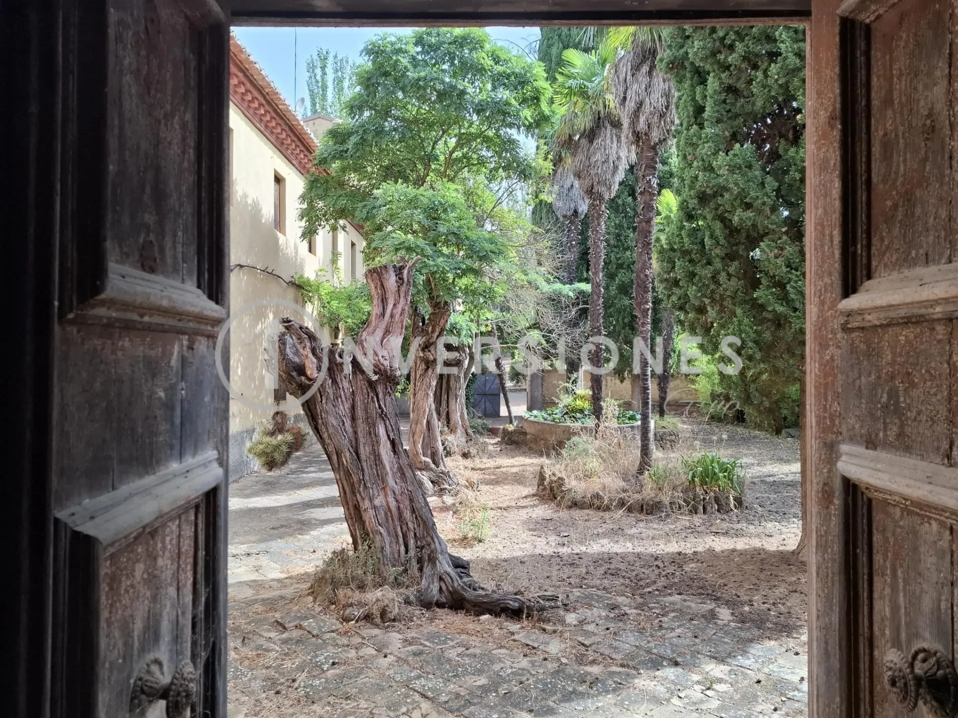 Gallery photo 10