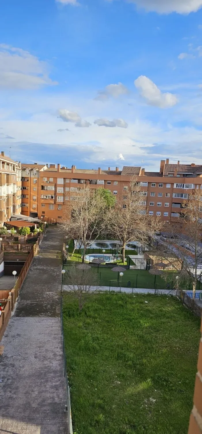 Calle del Río, 16,  Torrejón De Ardoz,  Sureste,  4ª Planta, Torrejon de Ardoz, Community of Madrid, Spain. - Photo 24