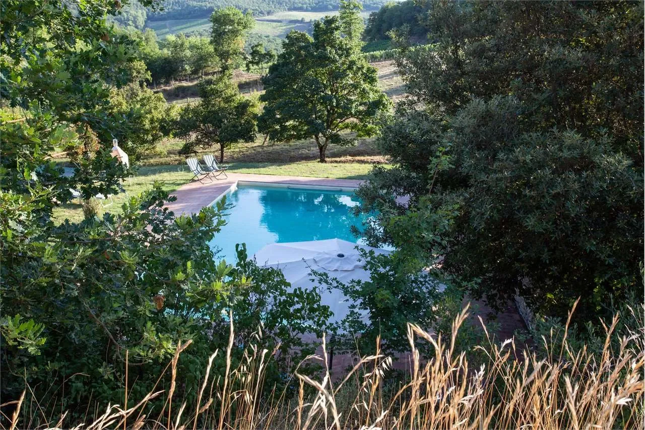 Gaiole in Chianti, Tuscany, Italy. - Photo 18