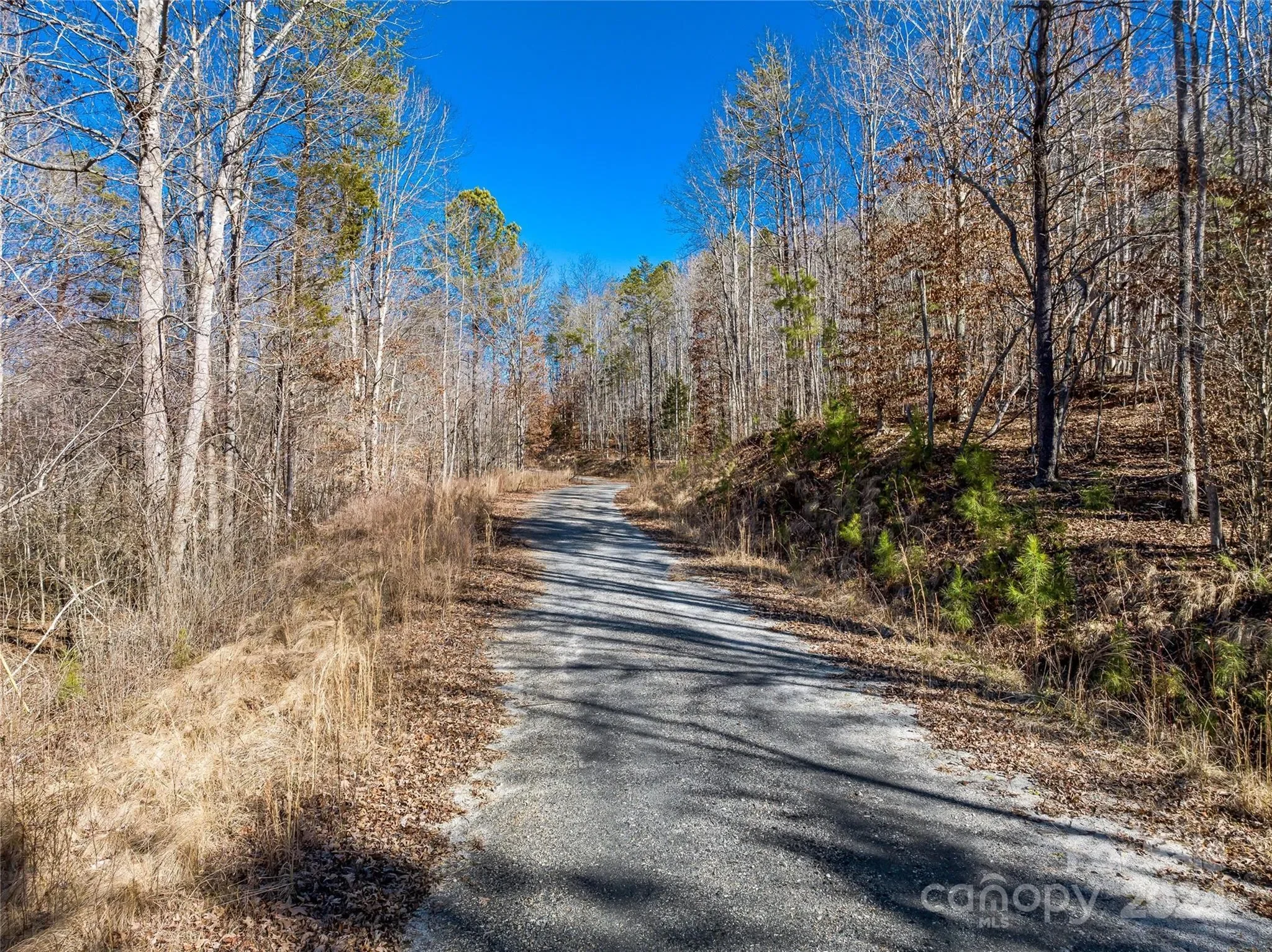 99999 Sunnyview Drive, Rutherfordton, NC 28756, Rutherfordton, North Carolina, United States. - Photo 23