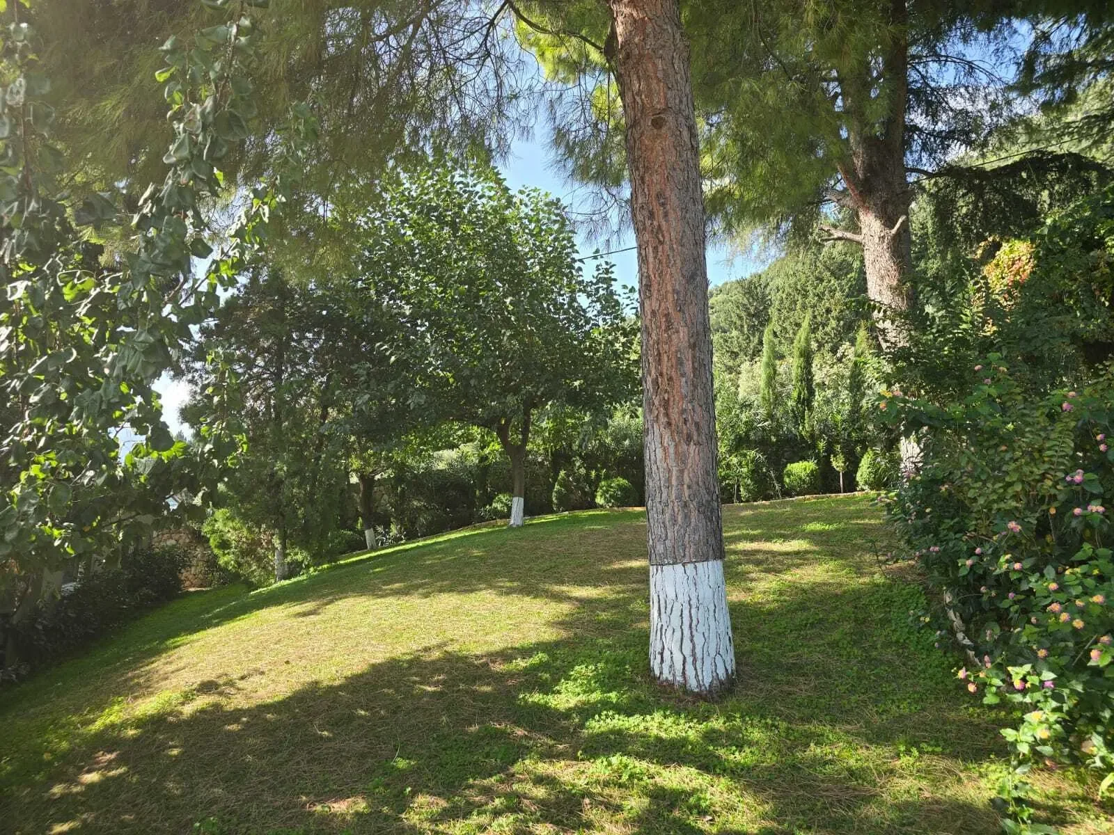 Perigiali, Greece, Platustomon, Ellomenos, Greece. - Photo 47