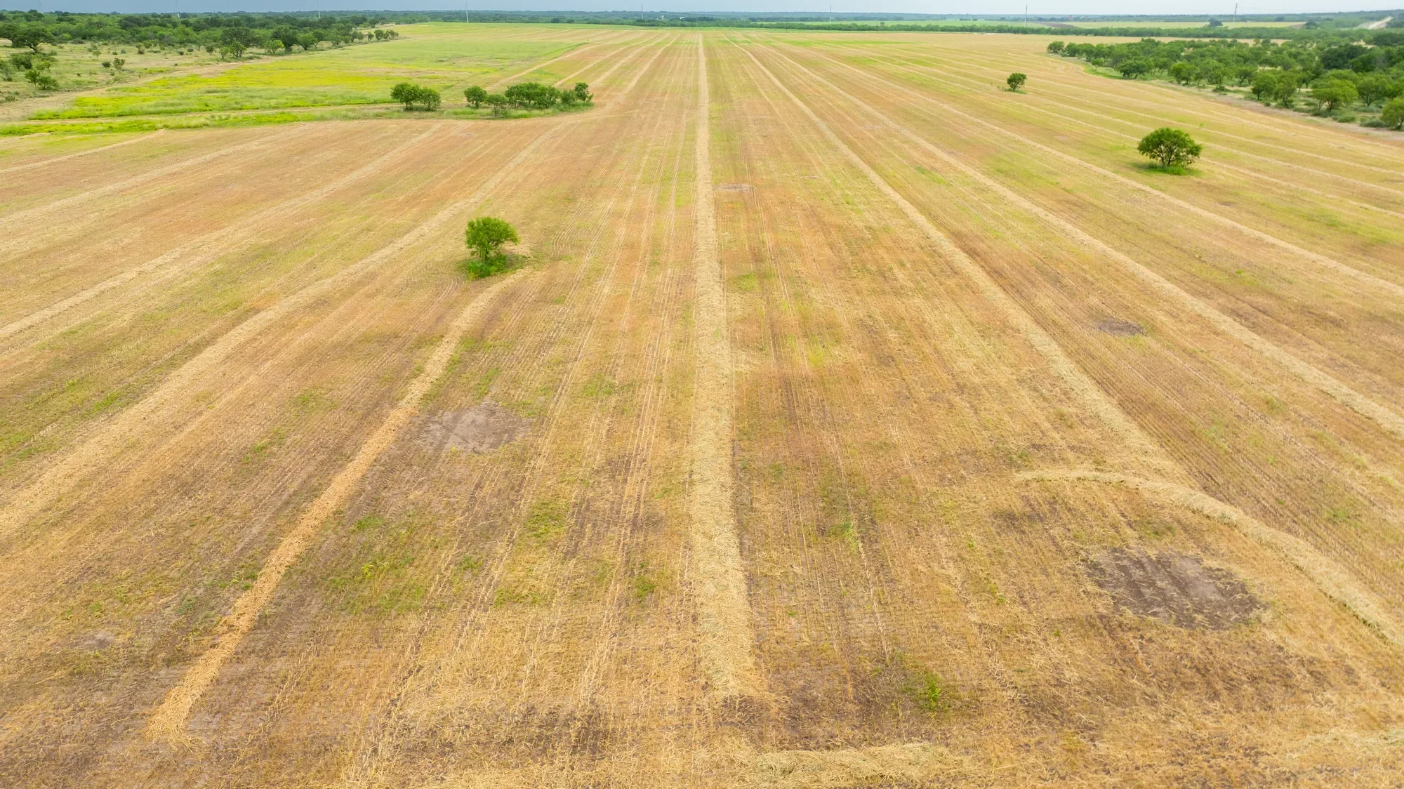 Brady Creek Ranch CR 3388, Melvin, TX 76858, Melvin, Texas, United States. - Photo 48