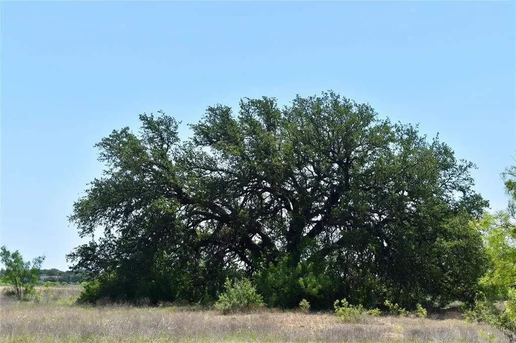 8228 US HWY 377, Rochelle, Texas, United States. - Photo 5