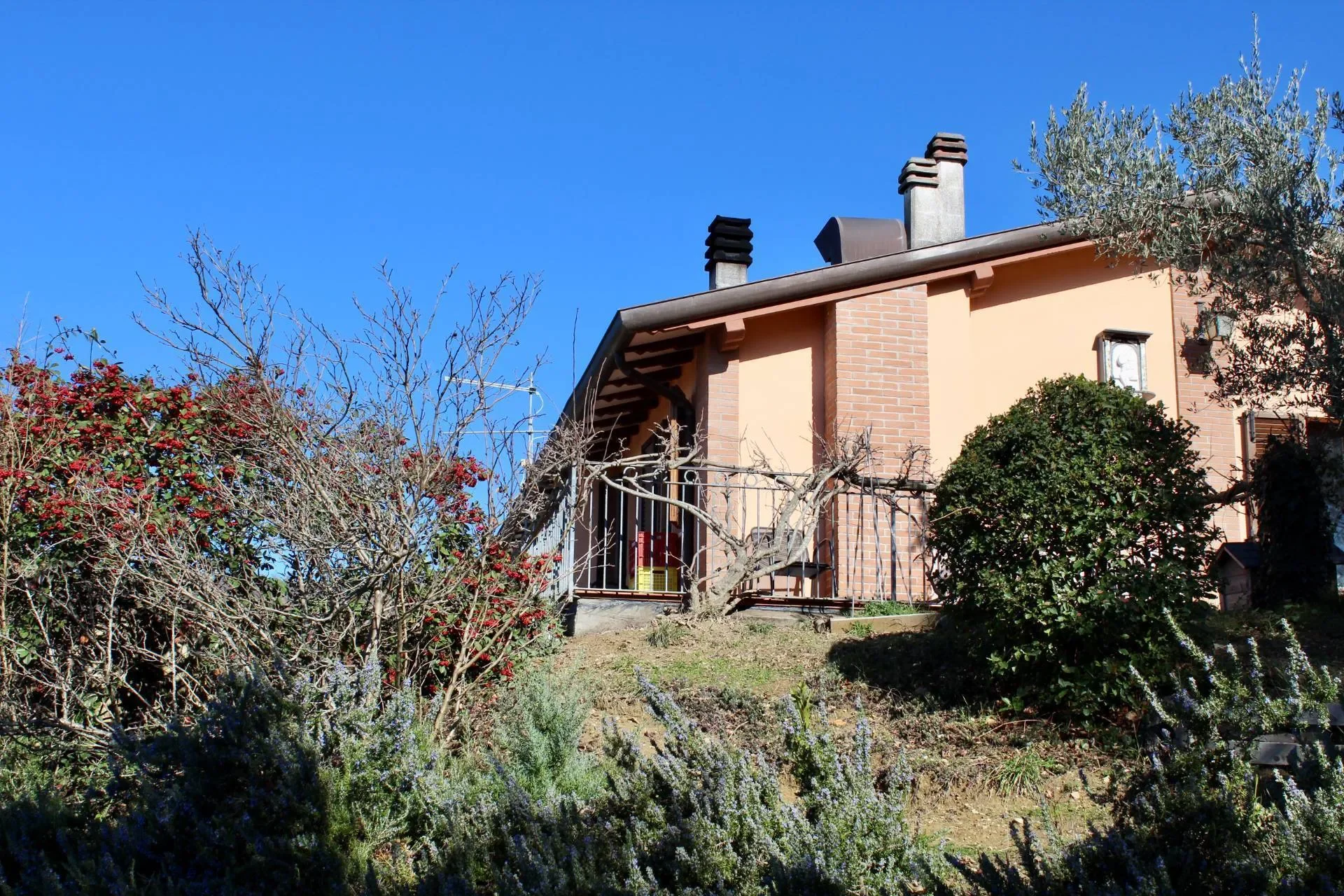 Assisi, San Damiano, Umbria, Italy. - Photo 22