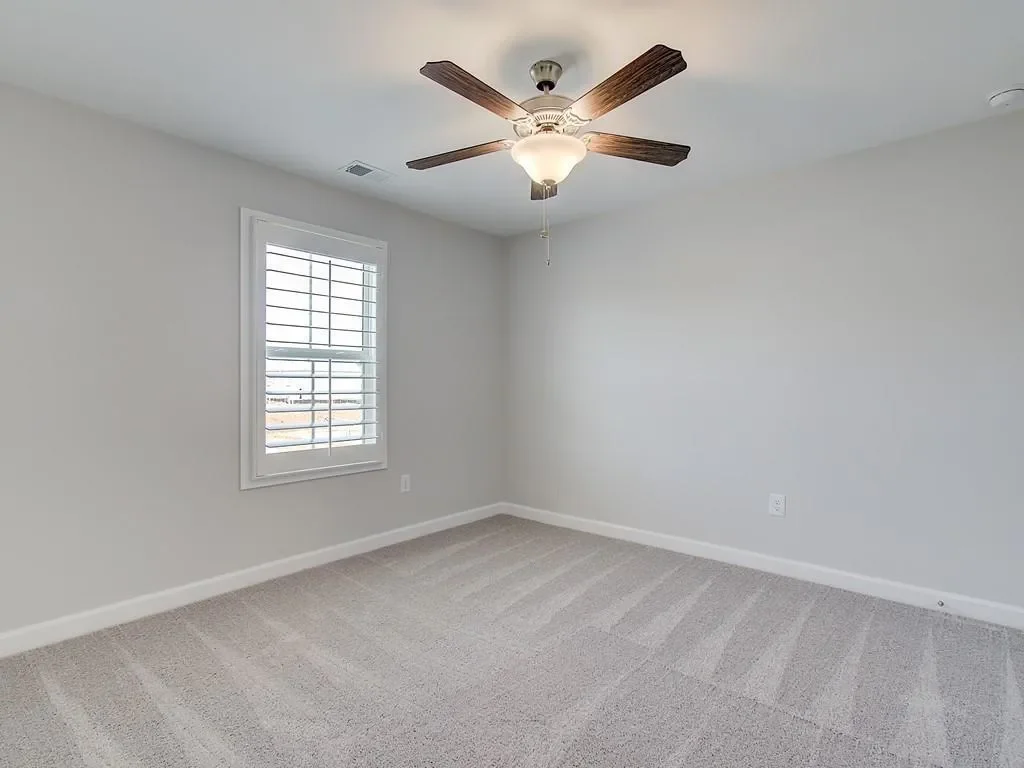 Gallery photo 6