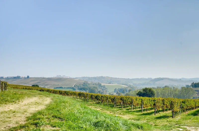 14030 Castagnole Monferrato, Province of Asti, Italy, Castagnole Monferrato, Piedmont, Italy. - Photo 69