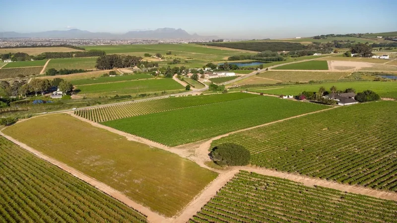 Stellenbosch, Western Cape, South Africa. - Photo 11