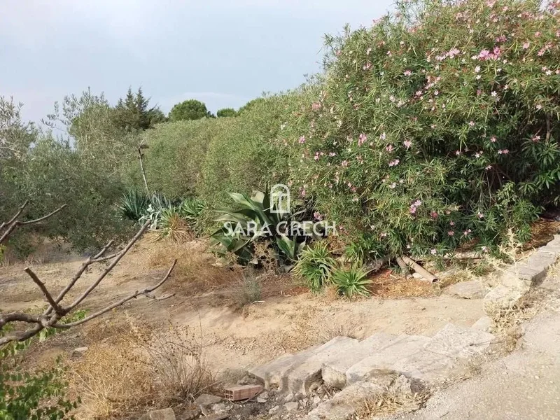 Commercial Hotel in Vittoria | Siracusa