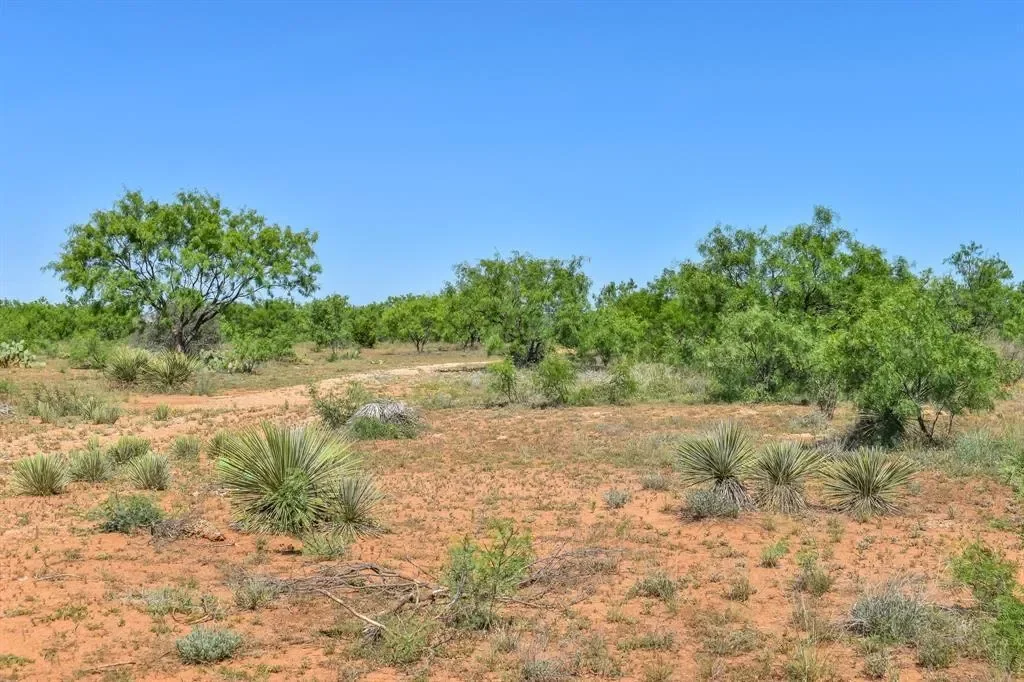 1025 FM 765, Lohn, Texas, United States. - Photo 24
