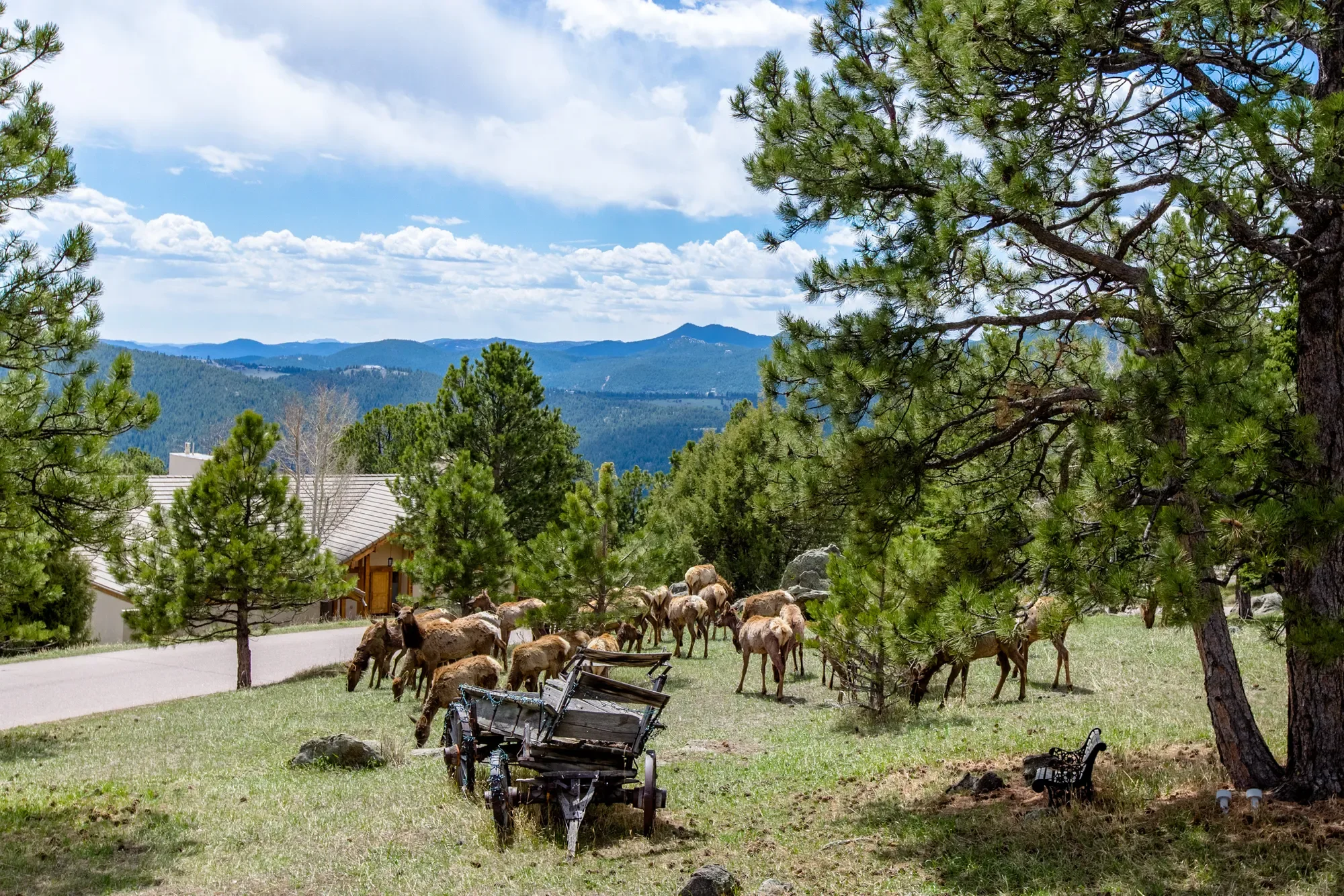 23624 Pondview Place Unit# G, Golden, CO 80401, Golden, Colorado, United States. - Photo 30