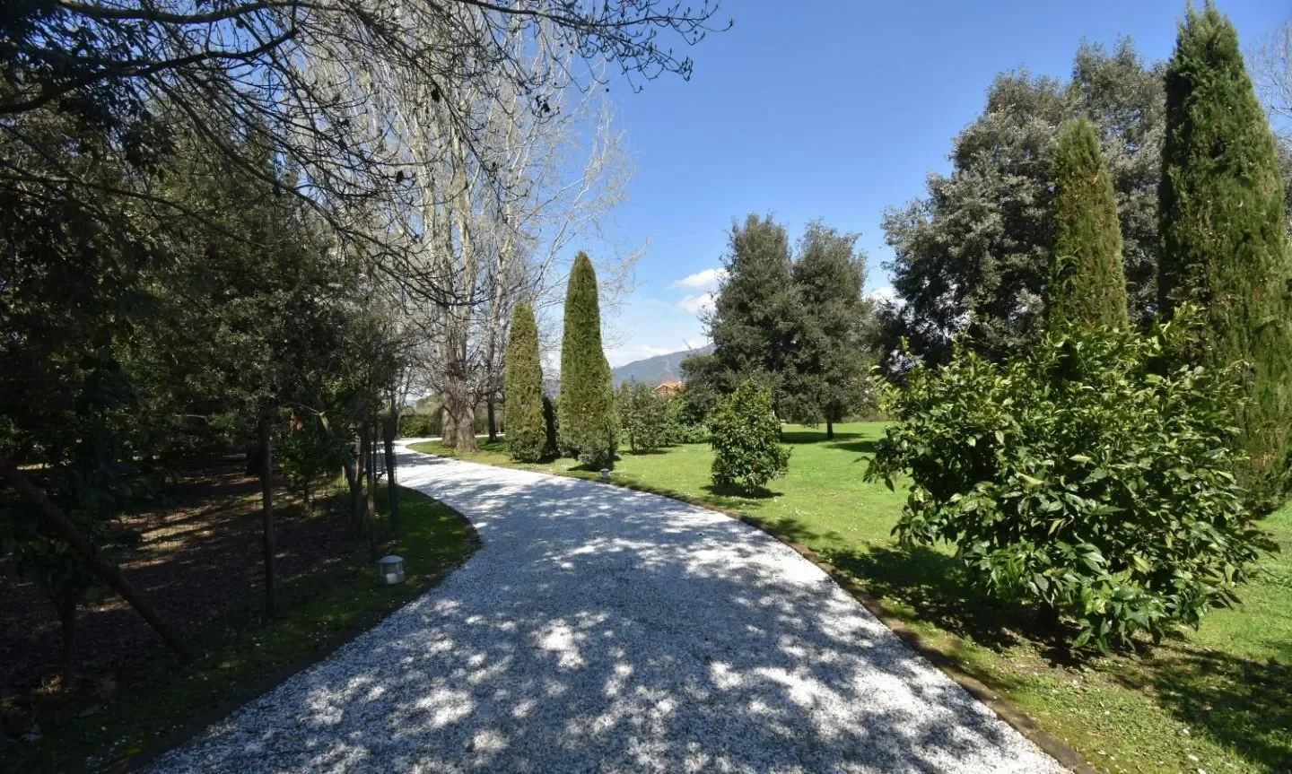 Via Pergolaia,, Pietrasanta, Tuscany, Italy. - Photo 6