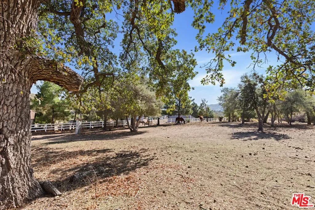 28765 Pine Canyon Road, Lake Hughes, California, United States. - Photo 41