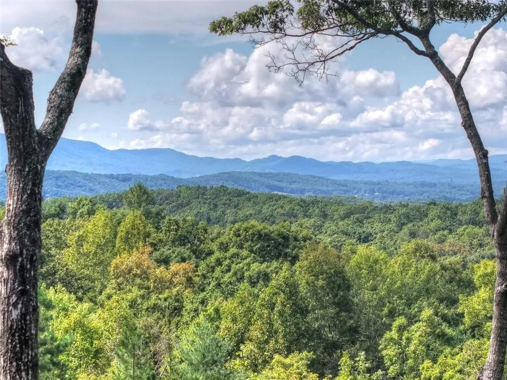 67 Antler Way, Morganton, Georgia, United States. - Photo 6