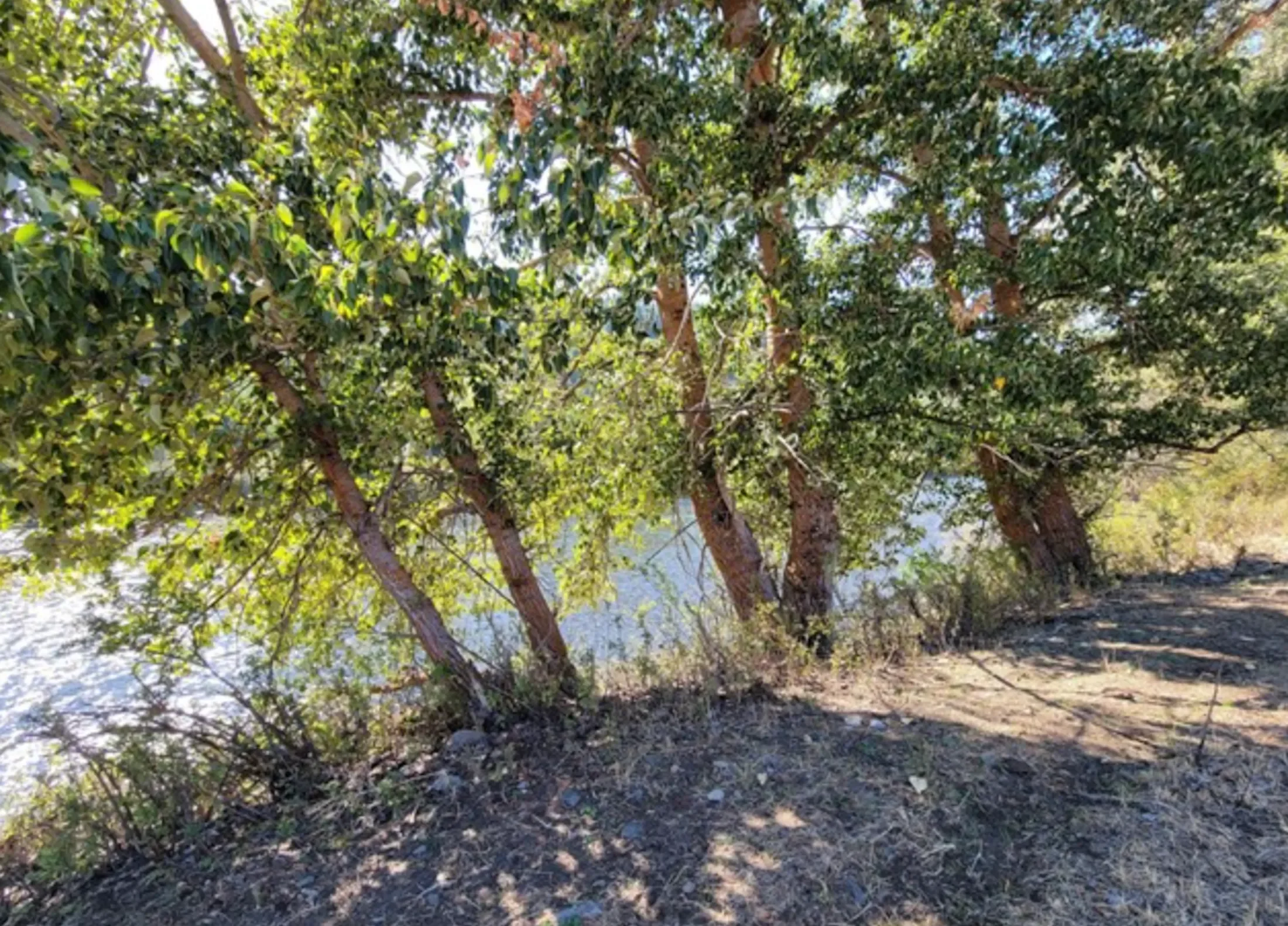 Property photo 7
