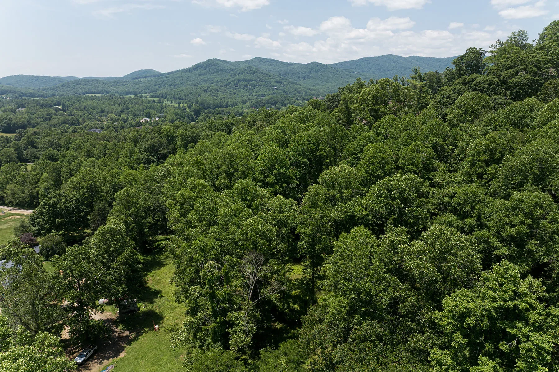 173 Avery Creek Road, Arden, NC 28704, Arden, North Carolina, United States. - Photo 23