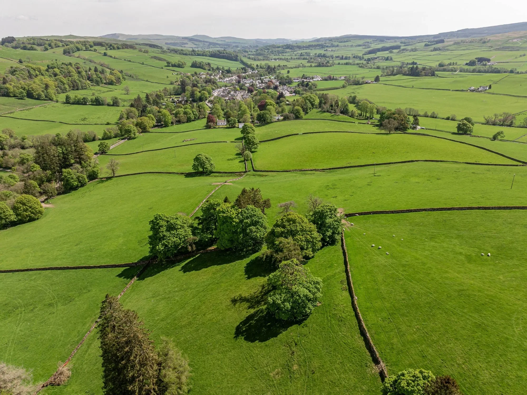 Moniaive, Thornhill, Thornhill, Scotland, United Kingdom. - Photo 21