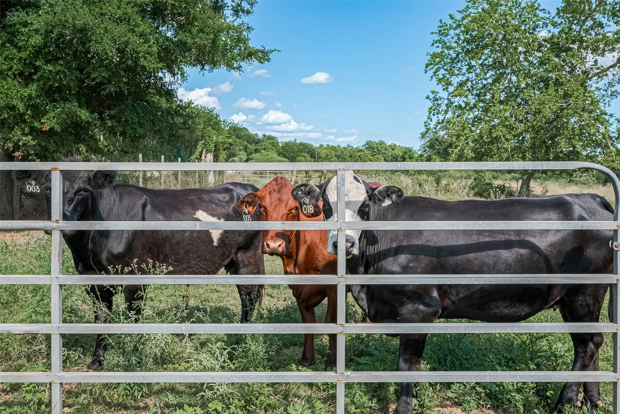 2511 Hartwell Road, Brookshire, TX 77423, Brookshire, Texas, United States. - Photo 12