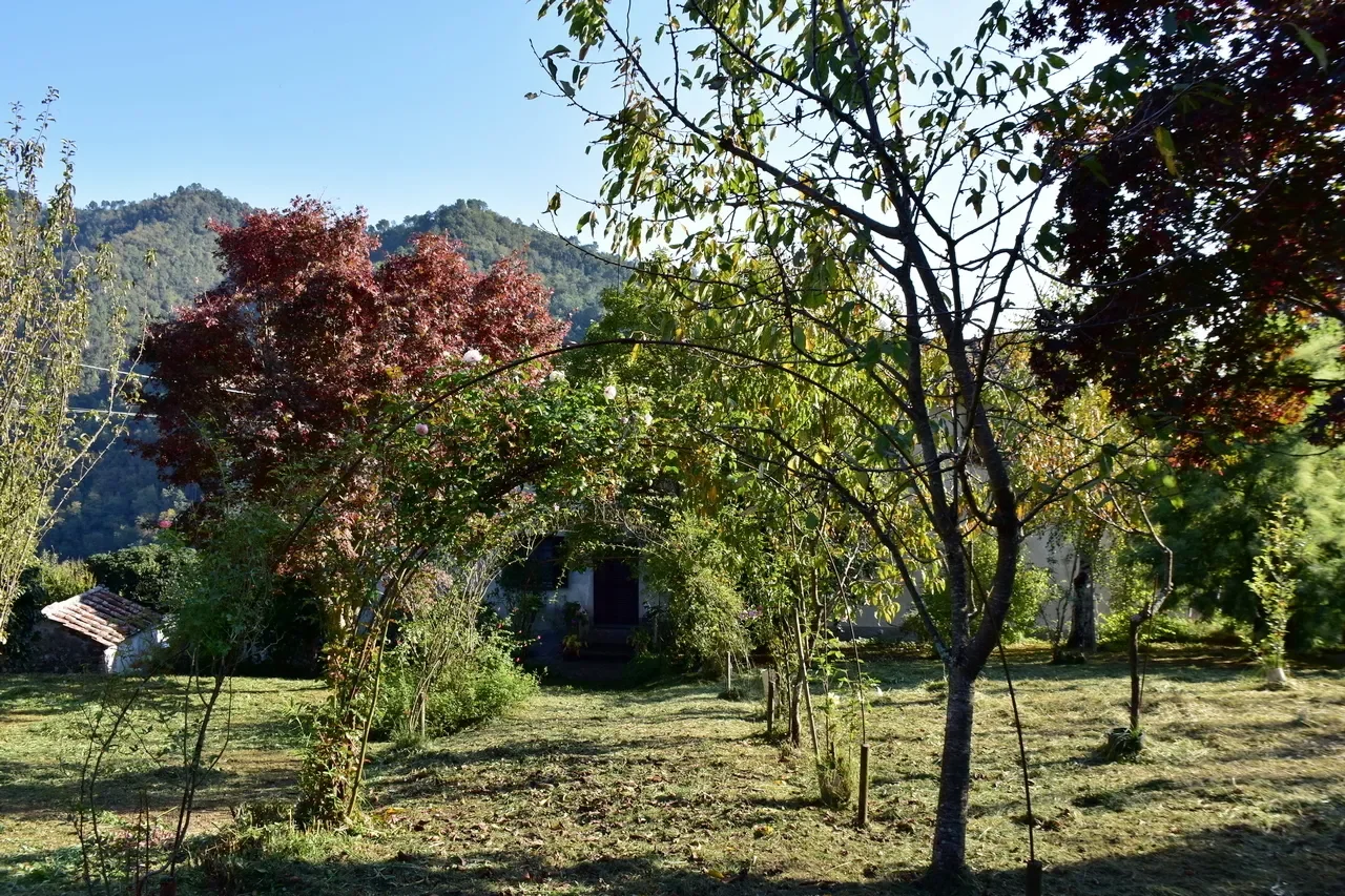 Property photo 8