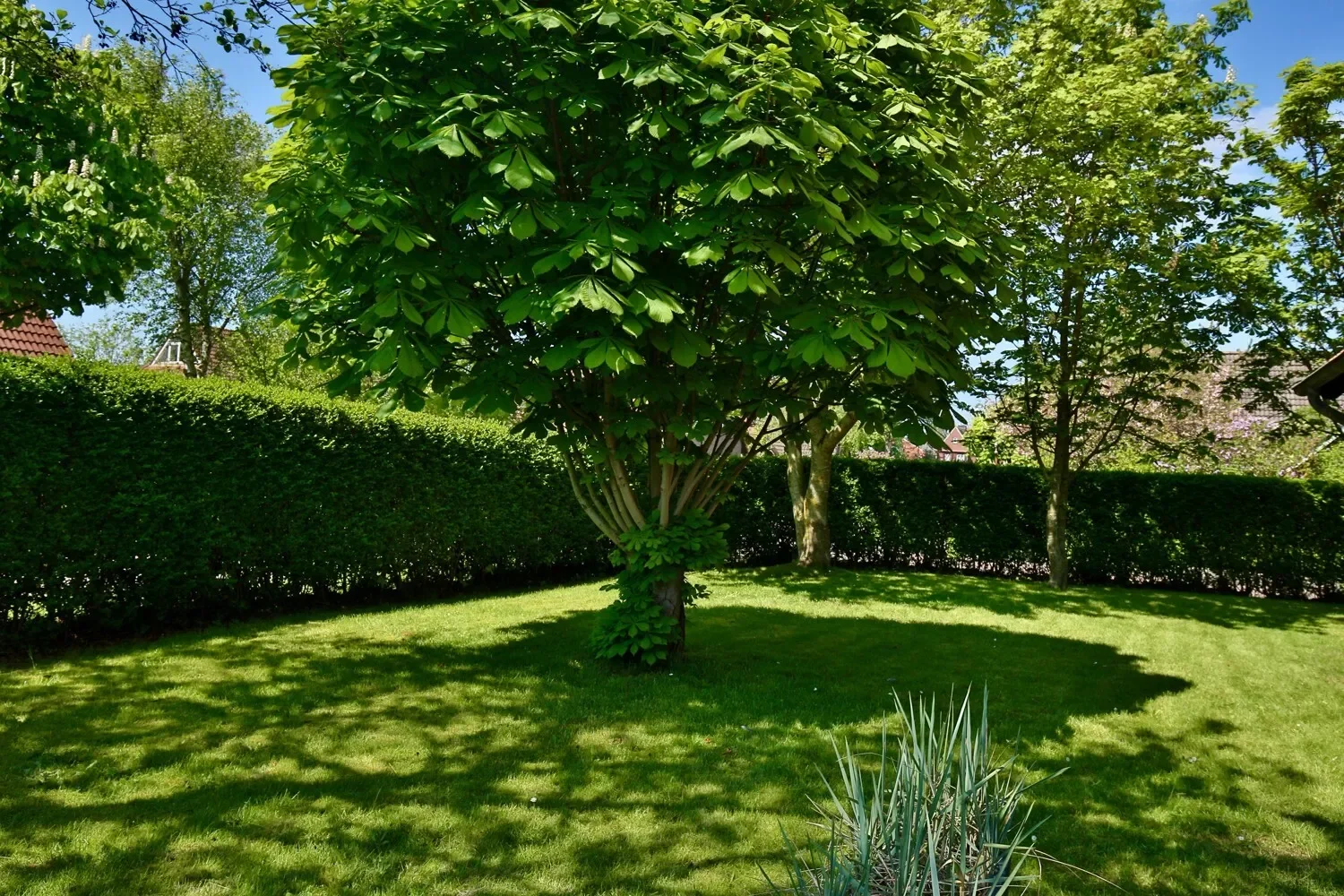Gallery photo 7