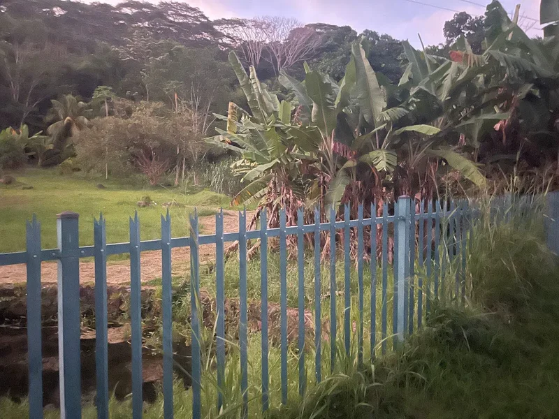 8FF3+78X, La Misere Rd, Grand Anse Village, Seychelles, Grand Anse Village, Grand'Anse Mahé, Seychelles. - Photo 24