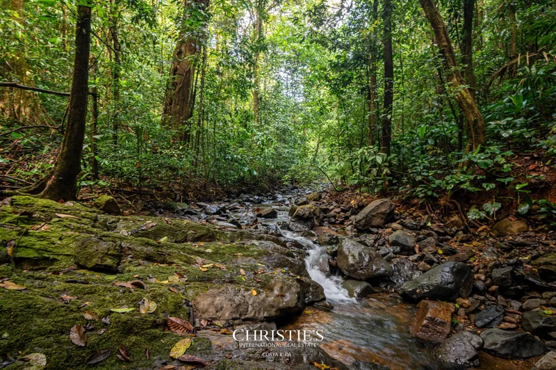 Puriscal, 239, San José Province, Costa Rica. - Photo 25