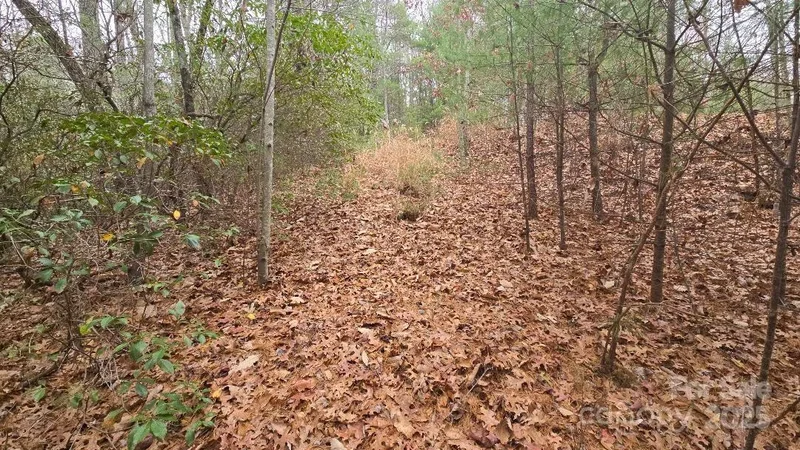 23 Jay Foster Way, Saluda, NC 28773, Saluda, North Carolina, United States. - Photo 20