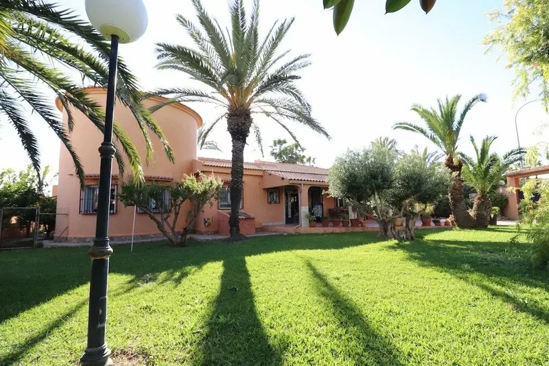 El chaparral, Torrevieja, ALICANTE, Torrevieja, Torrevieja, Valencian Community, Spain. - Photo 14