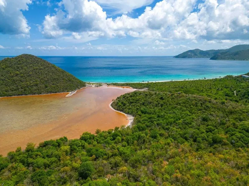 Freshwater Pond, Tortola, British Virgin Islands. - Photo 20