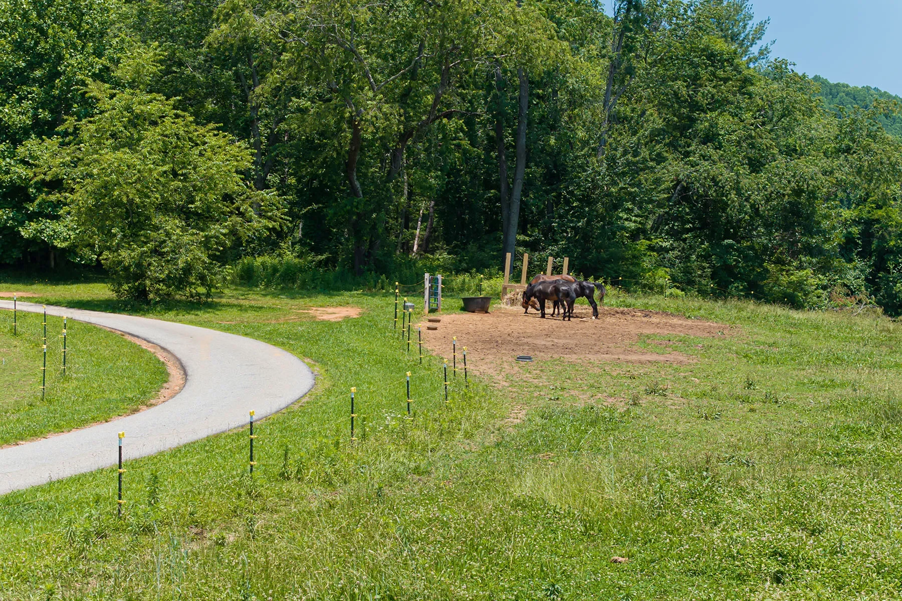 173 Avery Creek Road, Arden, NC 28704, Arden, North Carolina, United States. - Photo 4