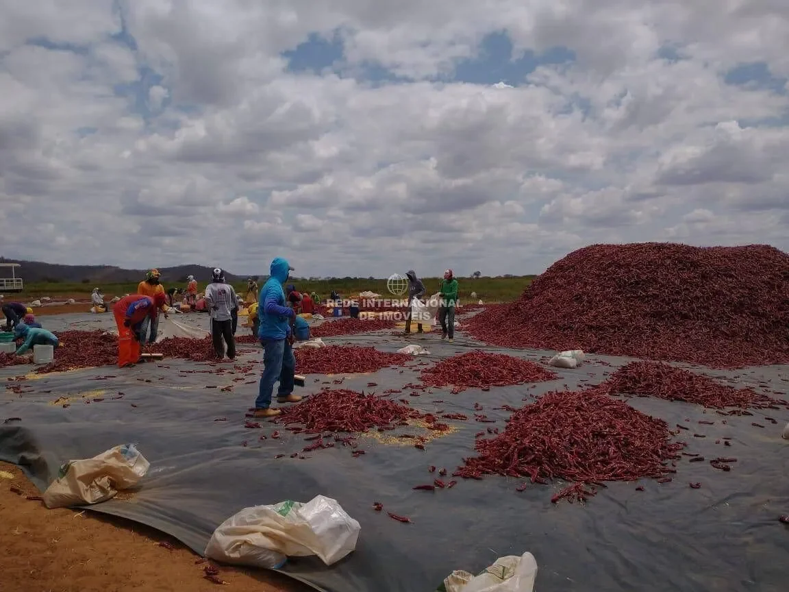 Oiapoque, State of Amapá, Brazil. - Photo 4
