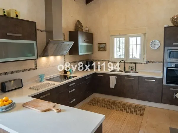 Gallery photo 12